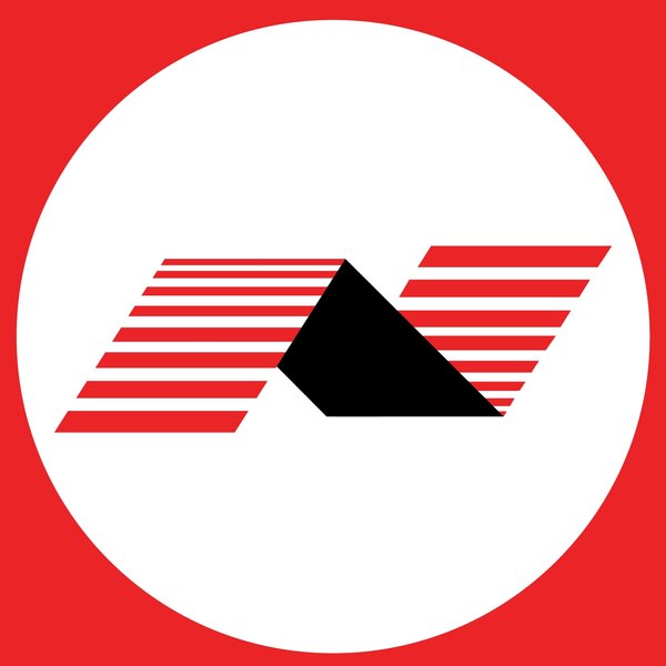 Nelson Homes N Square Logo