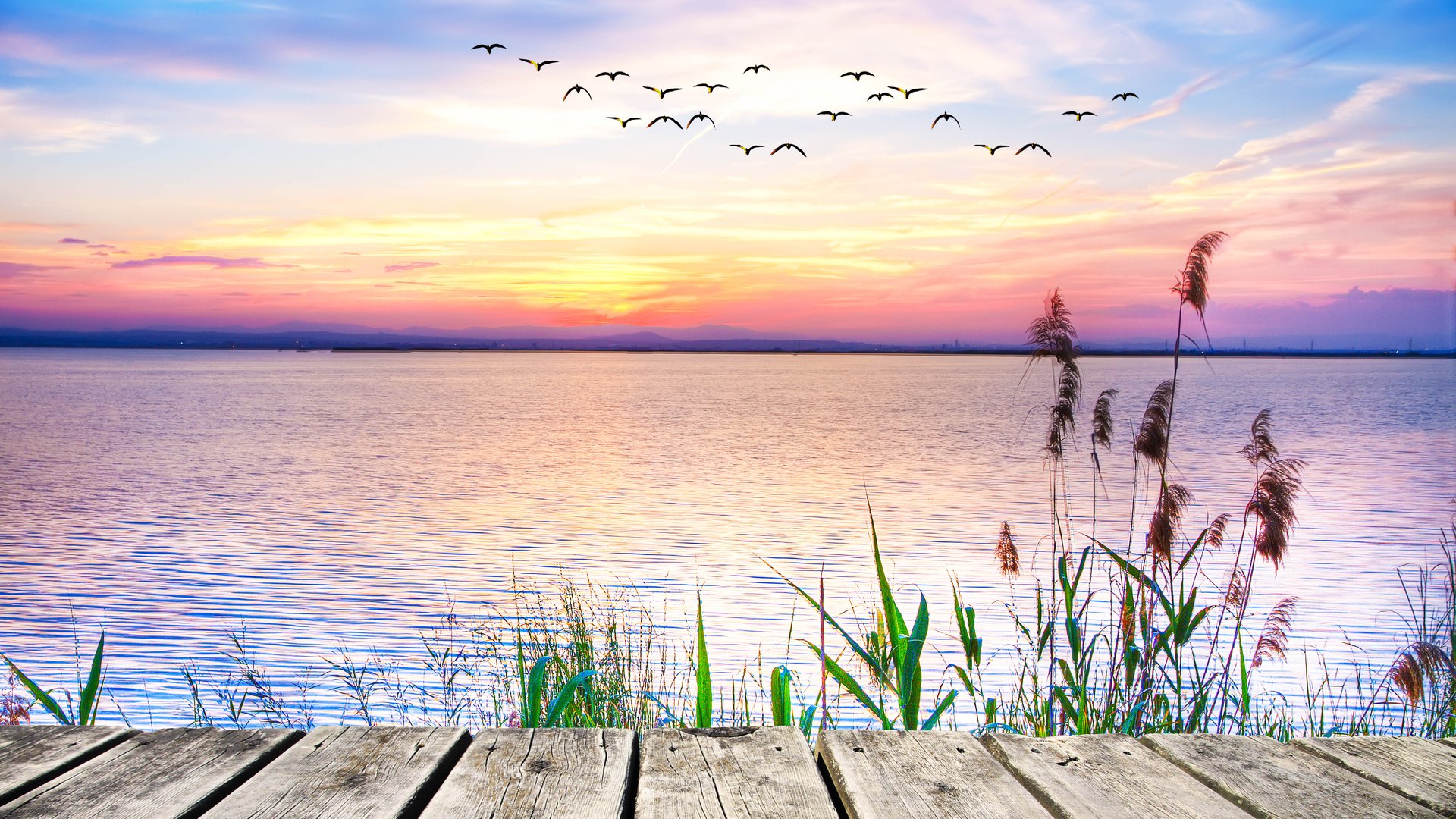 AdobeStock_62496449.jpg